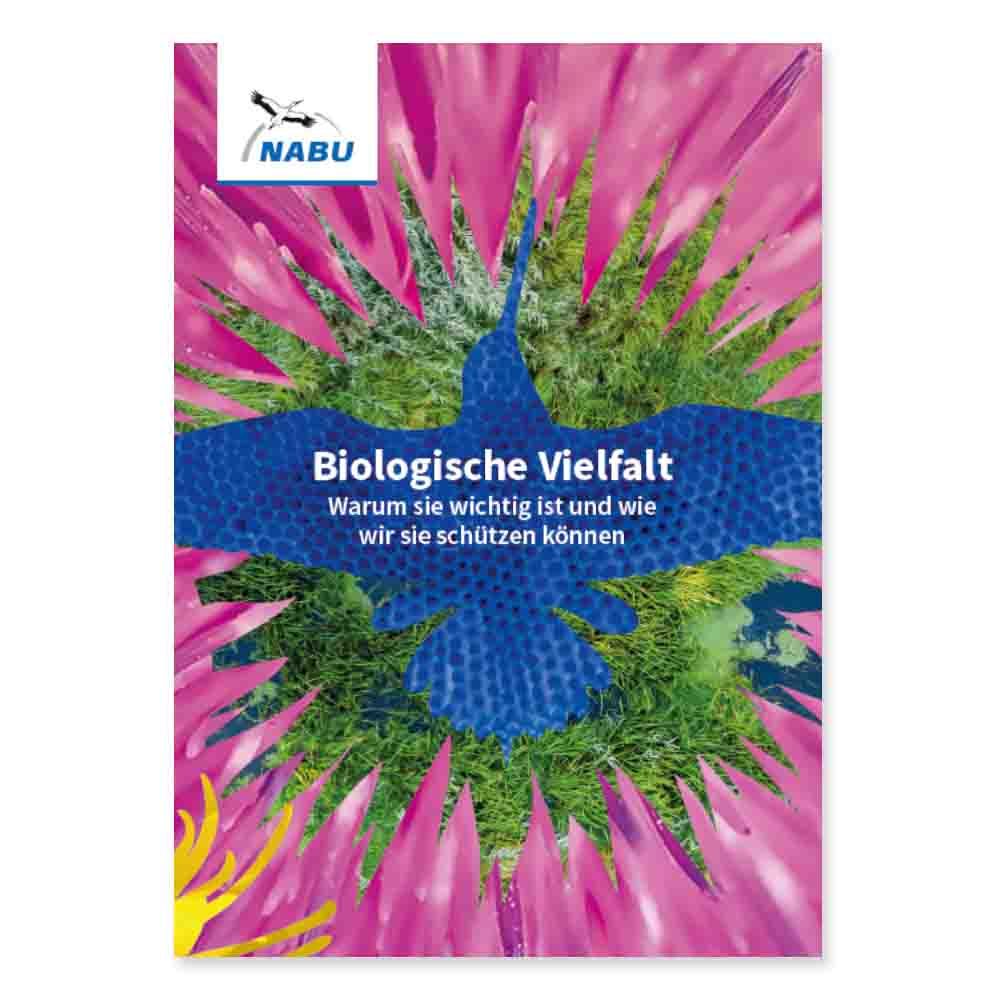 Leporello Biodiversität - Warum sie wichtig ist und wie wir sie schützen können
